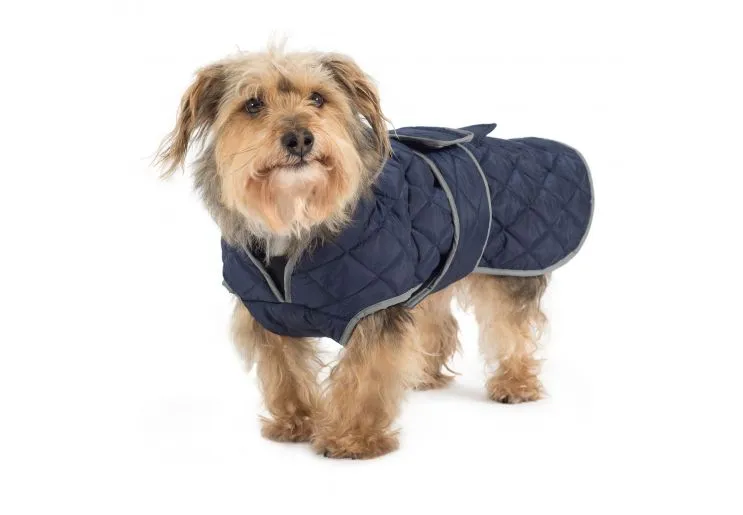 Ancol - Muddy Paws Quilted Dog Coat - Navy - Small