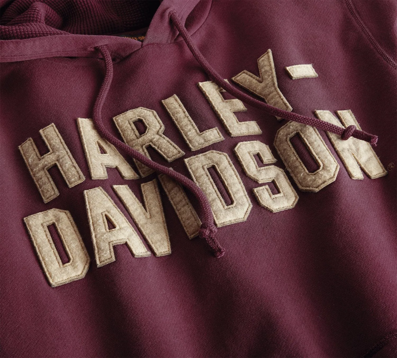 Harley-Davidson® Men's Felt Lettering Pullover Hoodie - 99180-19VM