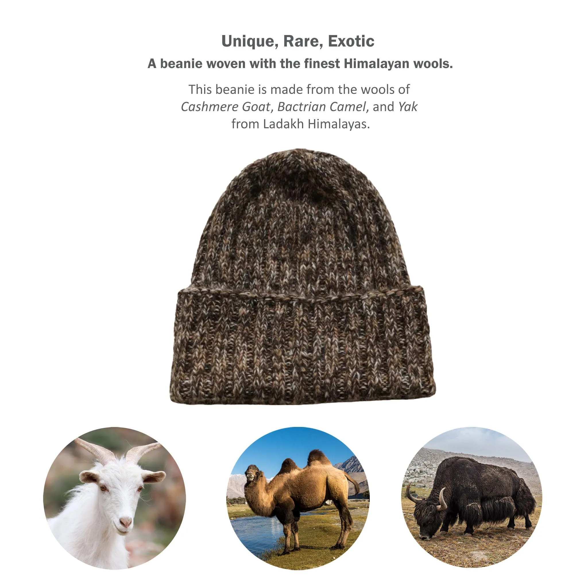 Rare, Exotic Beanie from Ladakh - Blend of 100% Pure Pashmina Cashmere   Double-Hump Bactrian Camel Wool   Himalayan Yak Wool (5-Ply Yarn) | Golden Brown