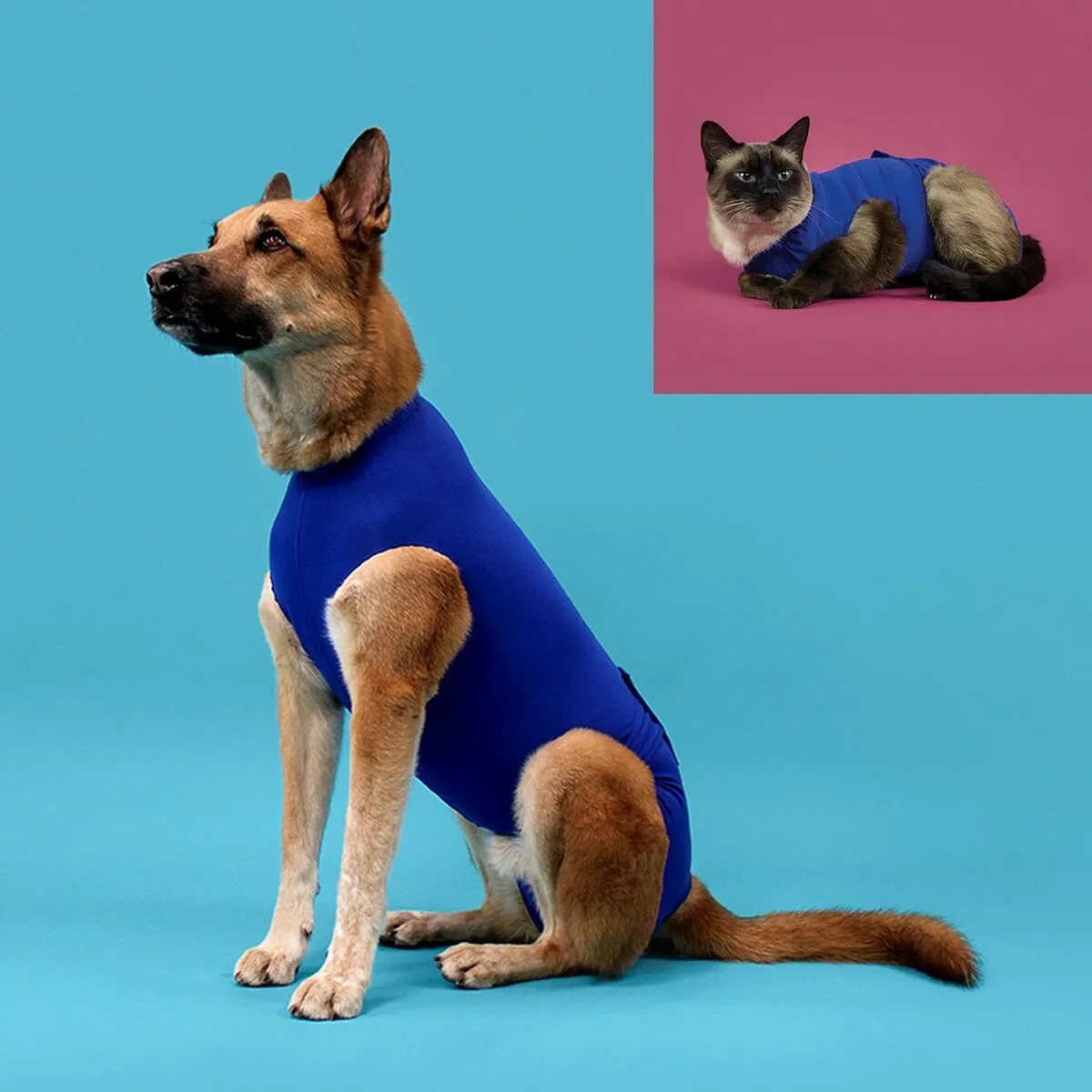 Recovery Vest for Pets KVP Blue 21-24 cm