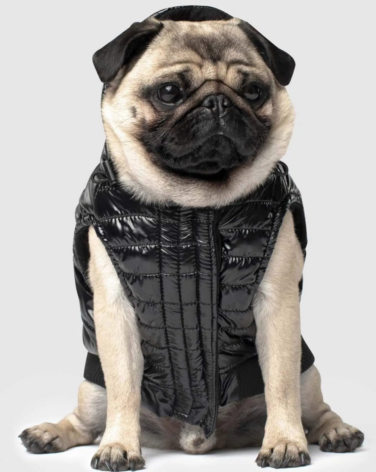 Shiny Puffer Dog Coat in Black (FINAL SALE)