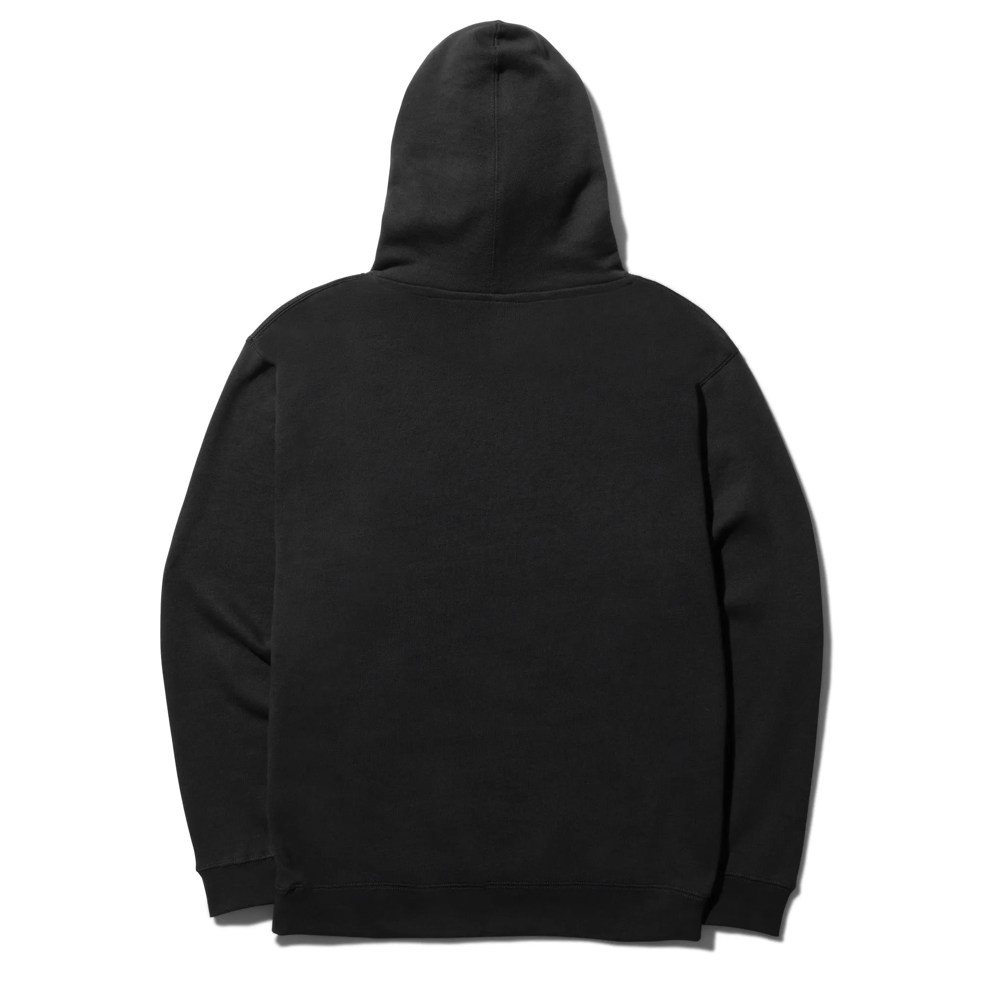 STANCE ESTABLISHED HOODIE